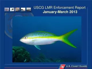 USCG LMR Enforcement Report January-March 2013