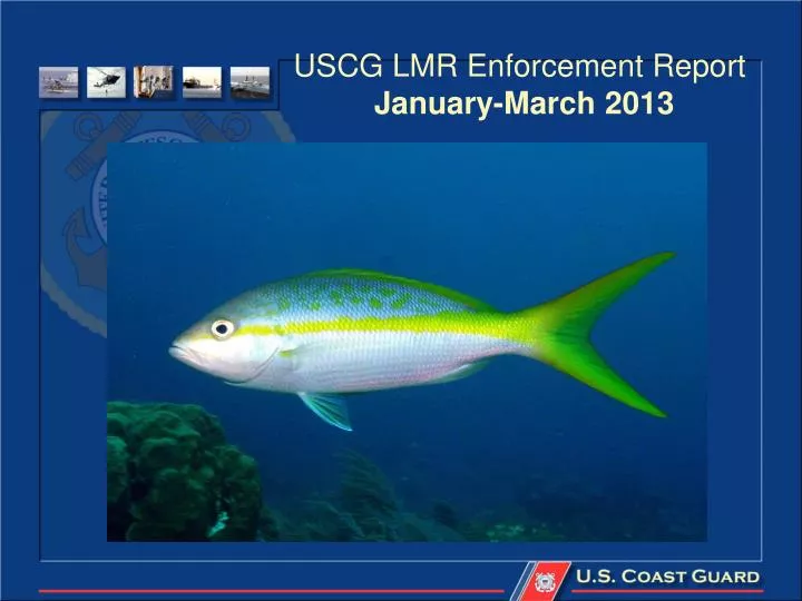 uscg lmr enforcement report january march 2013
