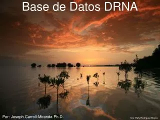 base de datos drna