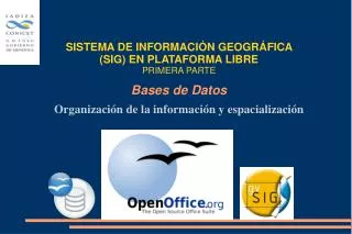 organizaci n de la informaci n y espacializaci n