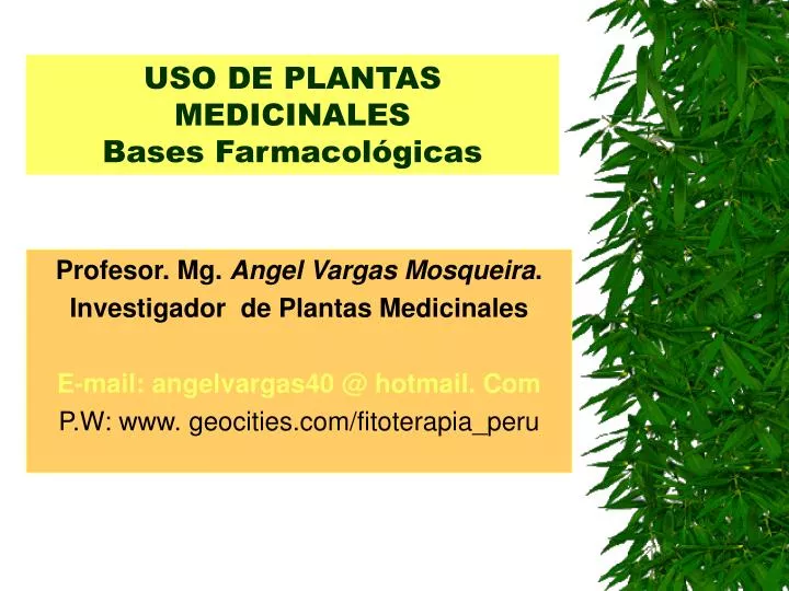 uso de plantas medicinales bases farmacol gicas