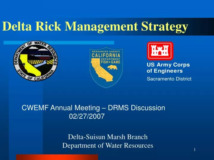 delta rick management strategy