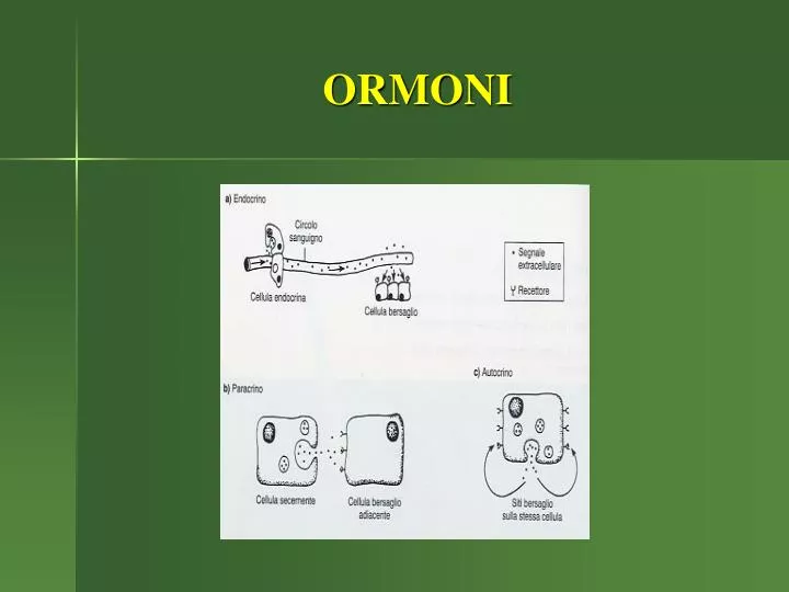 ormoni