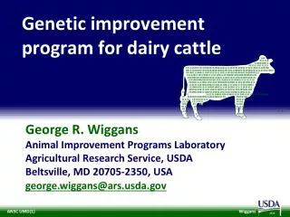 Genetic improvement program for dairy cattle