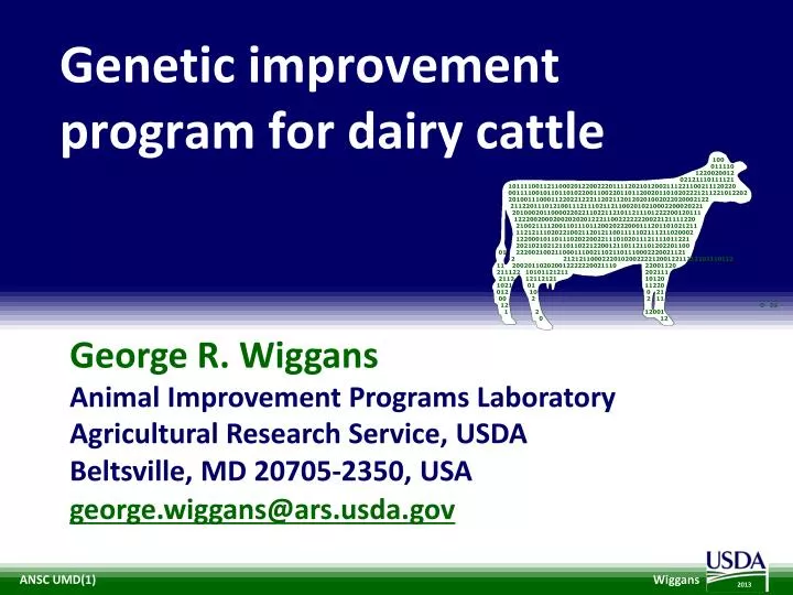 genetic improvement program for dairy cattle
