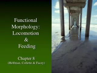 Functional Morphology: Locomotion &amp; Feeding Chapter 8 (Helfman, Collette &amp; Facey)