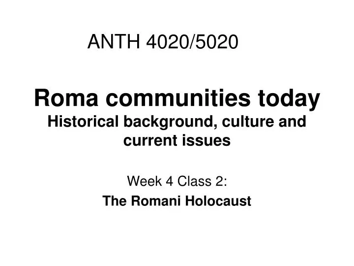 roma communities today historical background culture and current issues