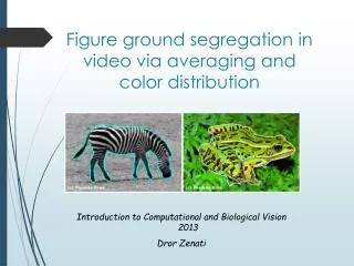 Figure ground segregation in video via averaging and color distribution