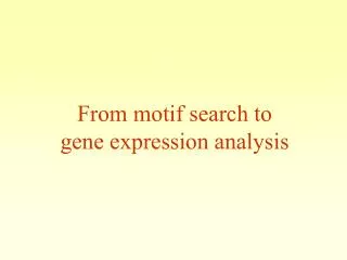 From motif search to gene expression analysis