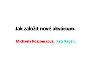 jak zalo it nov akv rium