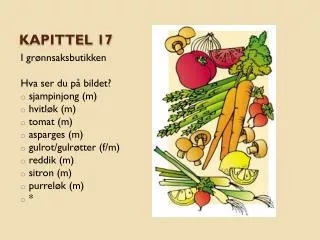 kapittel 17
