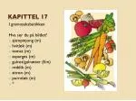 Kapittel 17 - slide 1