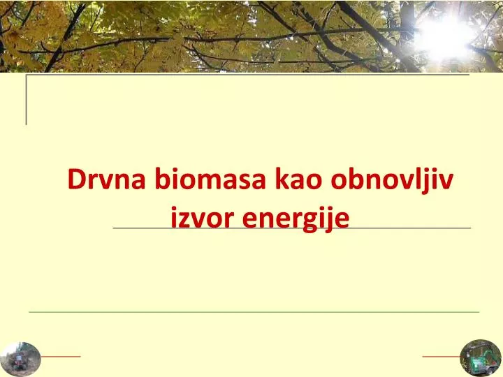 drvna biomasa kao obnovljiv izvor energije