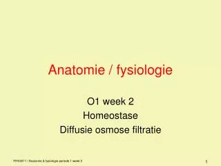anatomie fysiologie