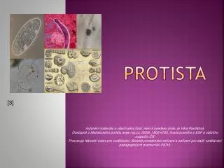 protista