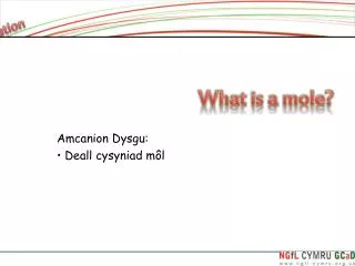 amcanion dysgu deall cysyniad m l