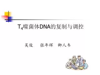 T 4 ??? DNA ??????