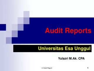 audit reports