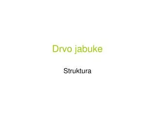 drvo jabuke