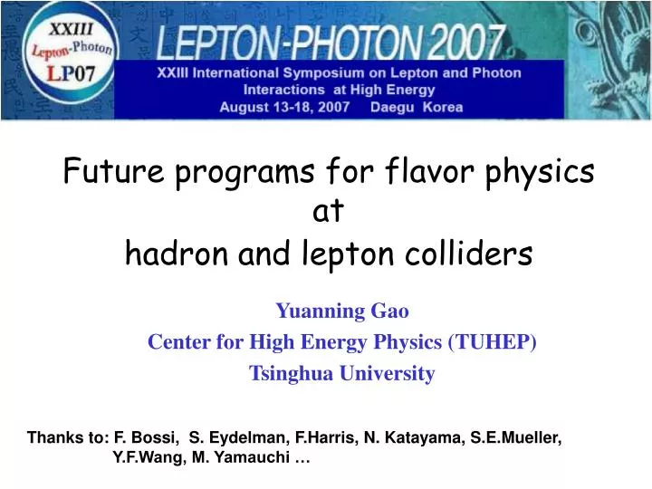 future programs for flavor physics at hadron and lepton colliders