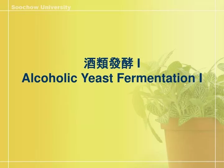 i alcoholic yeast fermentation i