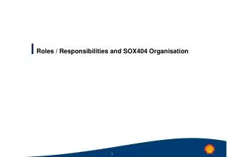 Roles / Responsibilities and SOX404 Organisation