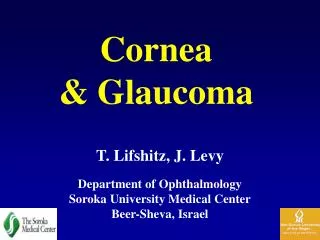 Cornea &amp; Glaucoma