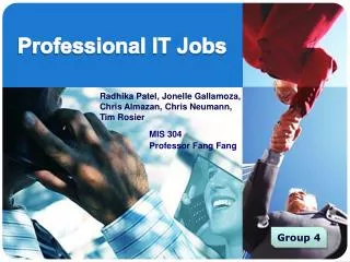 Professional IT Jobs