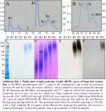 Purification and Characterization of High Molecular Weight Dsp Proteins via RP-HPLC and SDS-PAGE - slide 1