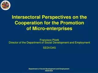 Intersectoral Perspectives on the Cooperation for the Promotion of Micro-enterprises