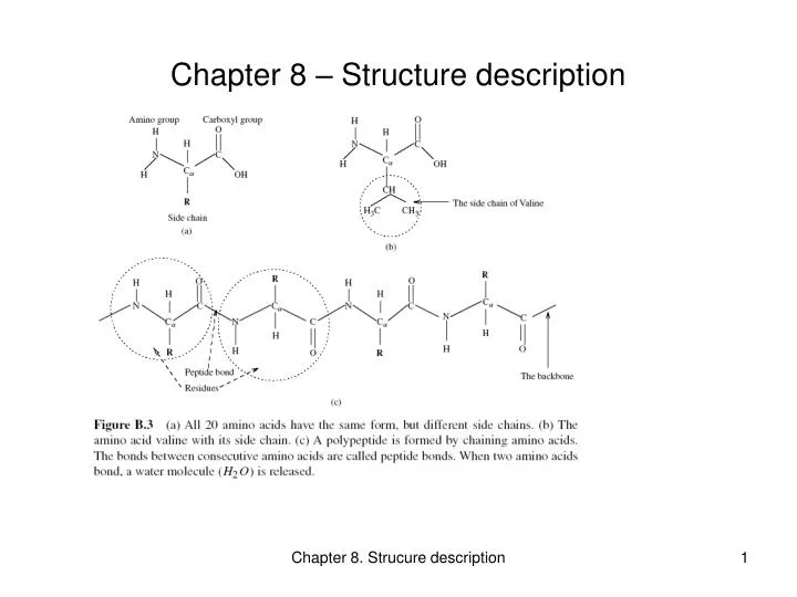 chapter 8 structure description