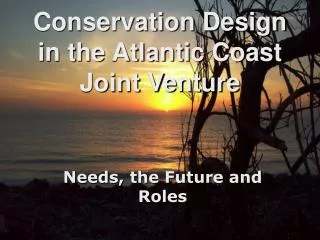 Conservation Design in the Atlantic Coast Joint Venture