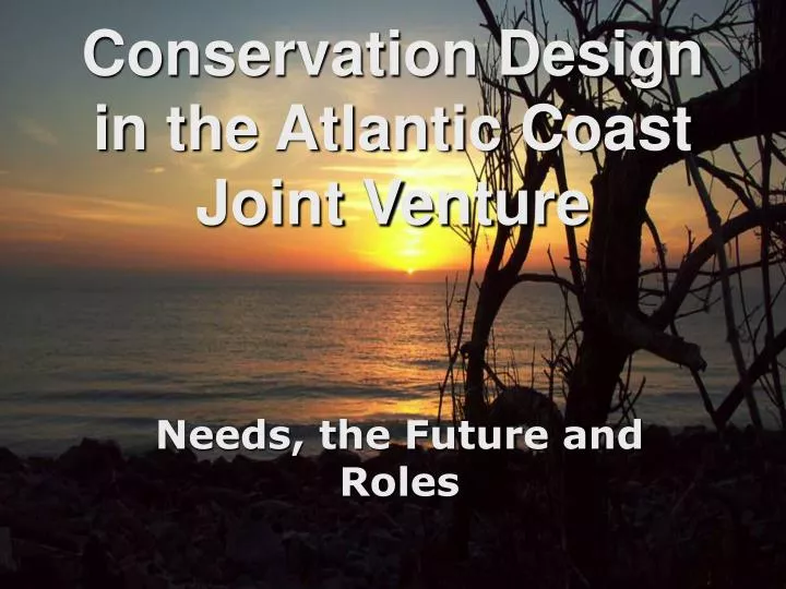 conservation design in the atlantic coast joint venture