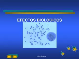 efectos biol gicos