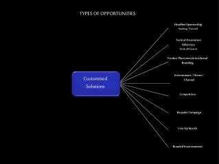 TYPES OF OPPORTUNITIES