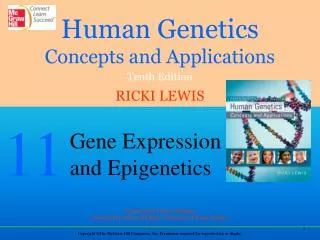 Gene Expression Through Time and Tissue