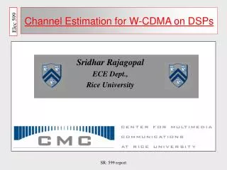 Channel Estimation for W-CDMA on DSPs