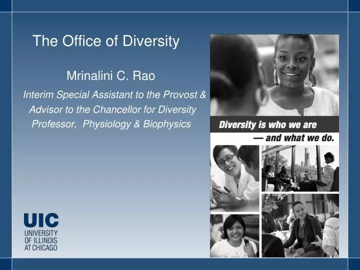 the office of diversity
