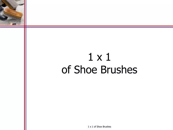 1 x 1 of shoe brushes