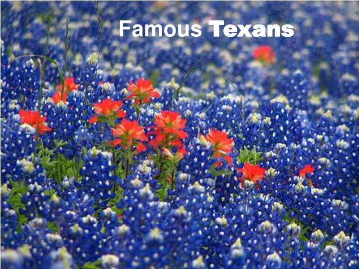 famous texans