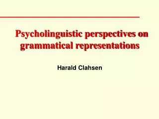 Psycholinguistic perspectives on grammatical representations