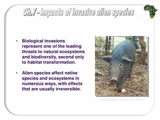 Impacts of invasive species