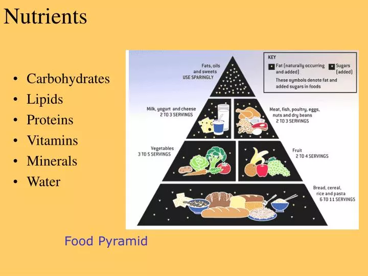 nutrients