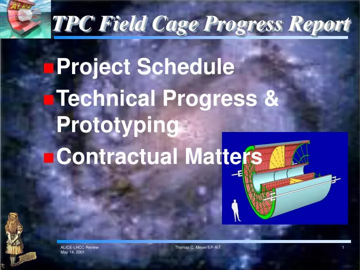 tpc field cage progress report