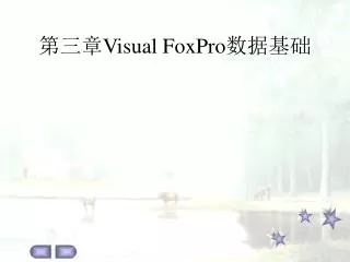 visual foxpro
