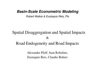 Basin-Scale Econometric Modeling Robert Walker &amp; Eustaquio Reis, PIs