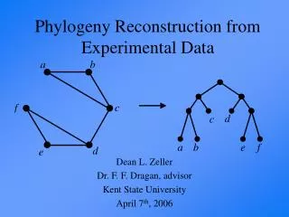 Phylogeny Reconstruction from Experimental Data