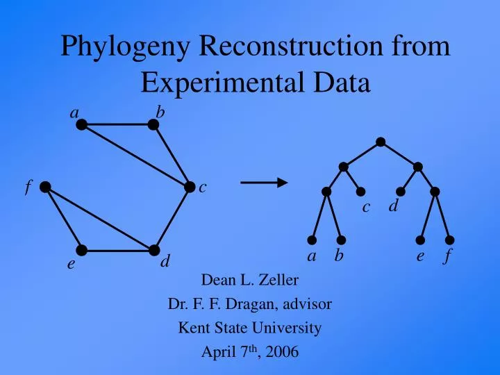 phylogeny reconstruction from experimental data