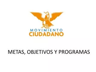 metas objetivos y programas