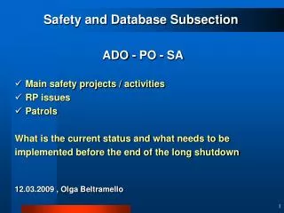 Safety and Database Subsection ADO - PO - SA Main safety projects / activities RP issues